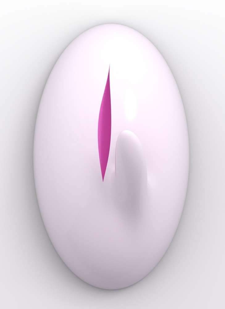 Stepan Ryabchenko_Secret Form_From the Computer viruses cycle